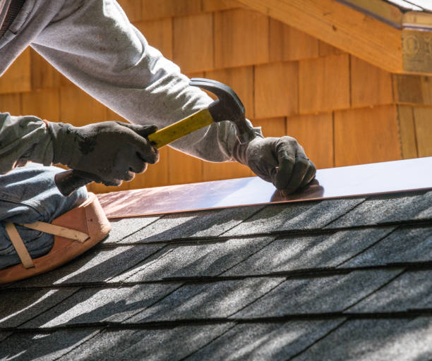 Best Roof Gutter Cleaning  in Mangonia Park, FL